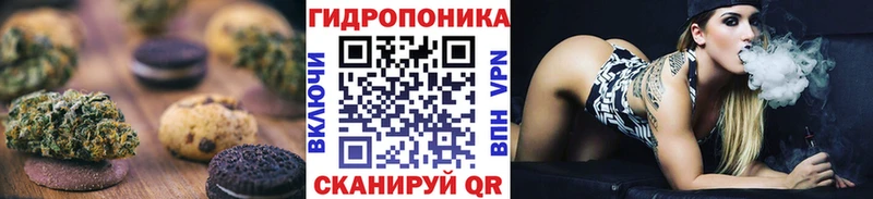 Canna-Cookies конопля Судак