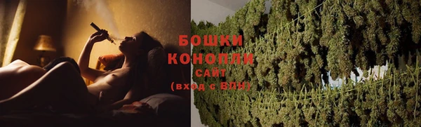 ПСИЛОЦИБИНОВЫЕ ГРИБЫ Коряжма