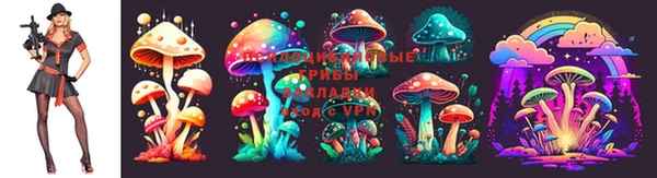 ПСИЛОЦИБИНОВЫЕ ГРИБЫ Коряжма