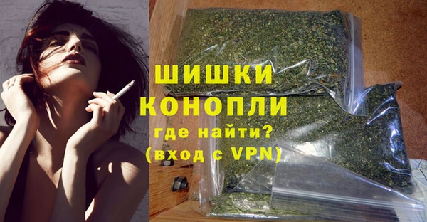 ПСИЛОЦИБИНОВЫЕ ГРИБЫ Коряжма