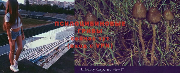 прущая мука Костерёво