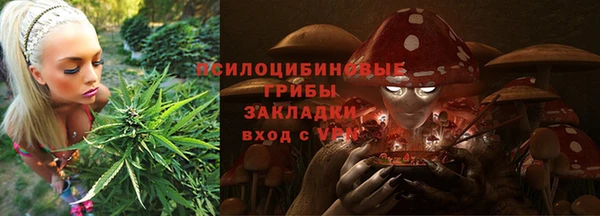 Альфа ПВП Корсаков