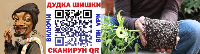 Купить  Судак  Шишки марихуана VHQ 